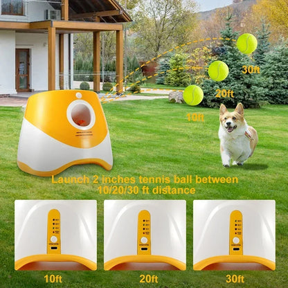 Outdoor pet ball launcher