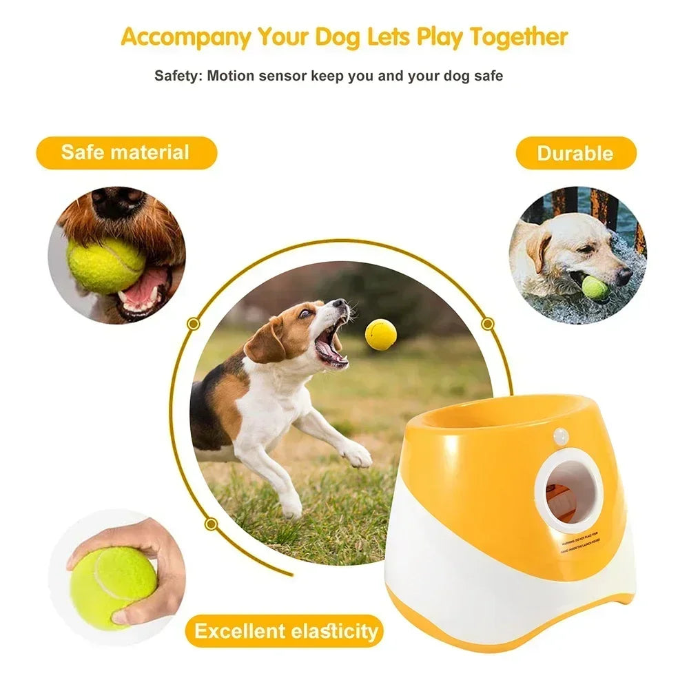Outdoor pet ball launcher