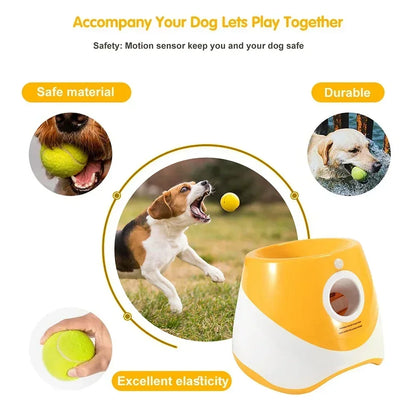 Outdoor pet ball launcher