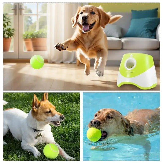 Outdoor pet ball launcher
