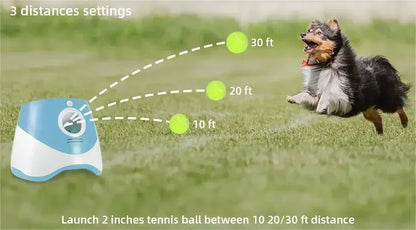 Outdoor pet ball launcher