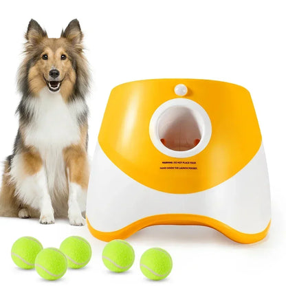 Outdoor pet ball launcher